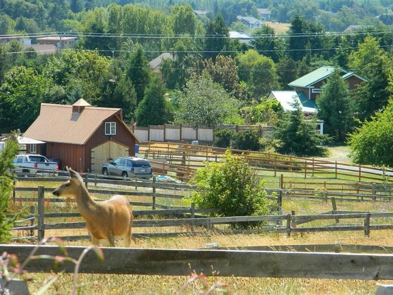 Sq Olympic-View-Cottage Sequim Exterior photo