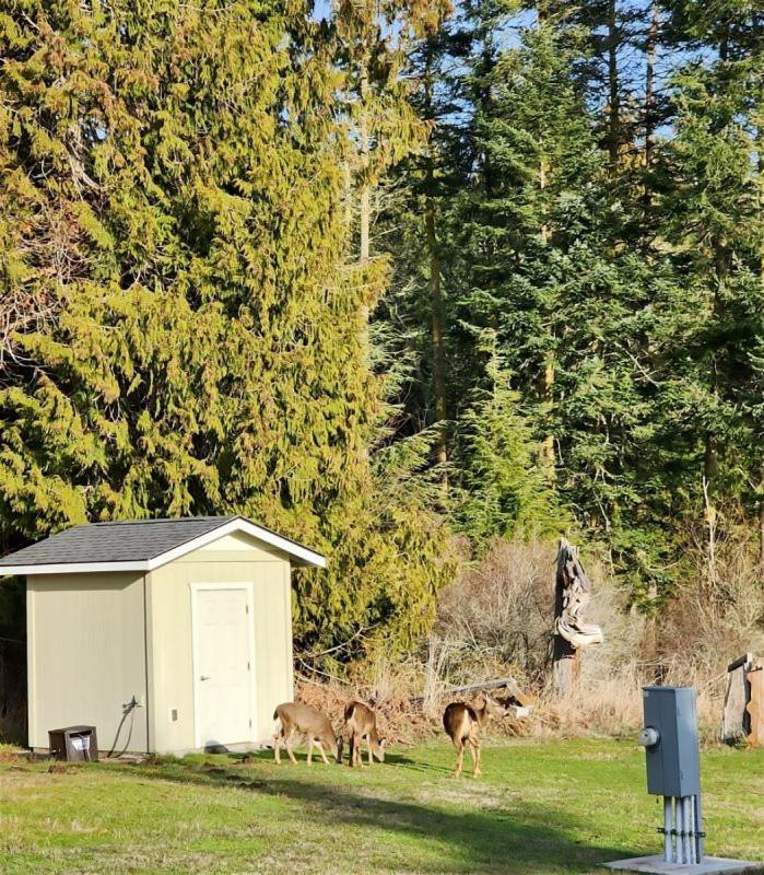 Sq Olympic-View-Cottage Sequim Exterior photo